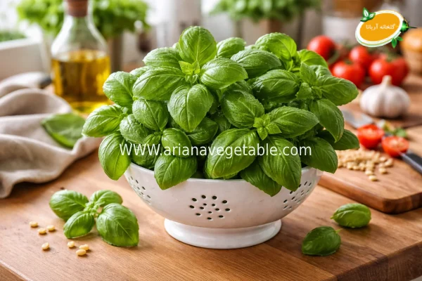 ریحان ایتالیایی 5 فواید ریحان ایتالیایی در آشپزی
