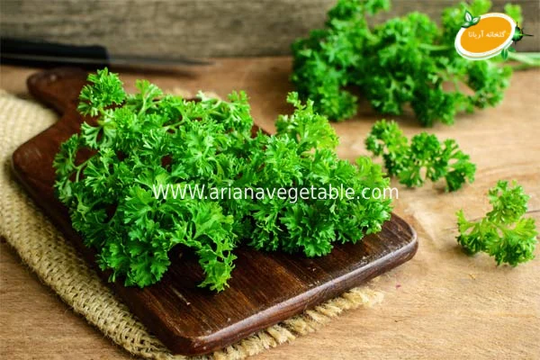 نگهداری از جعفری فری