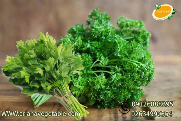 خرید جعفری در تهران 1 جعفری چیست