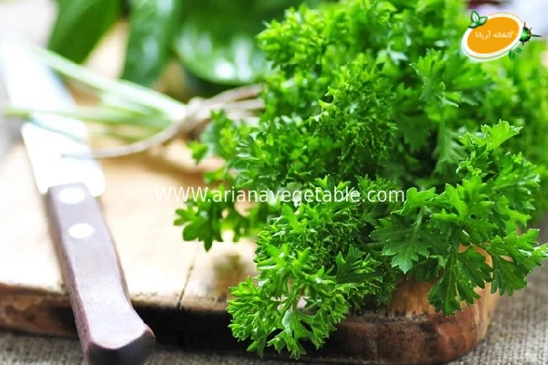 خرید جعفری در تهران 5 خرید جعفری