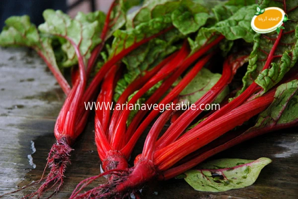 سوئیس چارد چیست