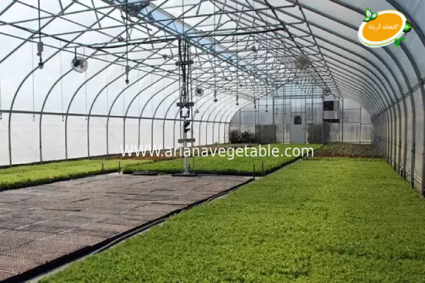 تنظیم دمای گلخانه