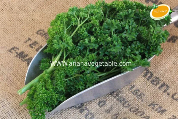 خرید جعفری فری در کرج 4 جعفری فری