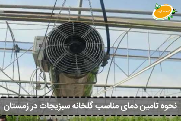 پرورش سبزیجات