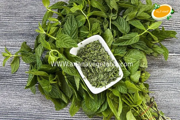 خواع نعناع موهیتو