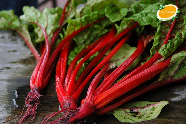 سوئیس چارد و خواص آن