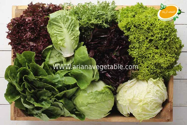 خرید سبزیجات ارگانیک