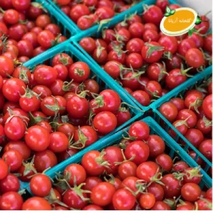 خرید گوجه گیلاسی ارگانیک