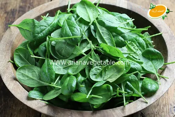 خواص بیبی اسفناج