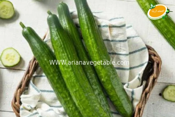 کاشت و نگهداری خیار درختی