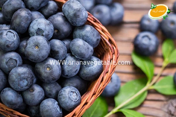 مصرف بلوبری؛ چطور این میوه مفید را وارد برنامه غذایی کنیم؟