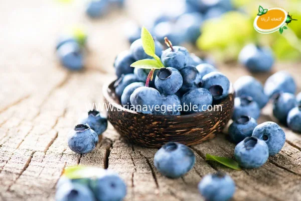 خواص بلوبری