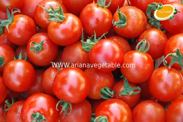 کیفیت گوجه گیلاسی