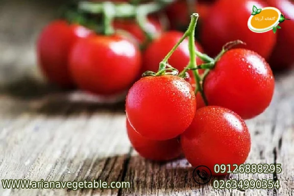 گوجه گیلاسی