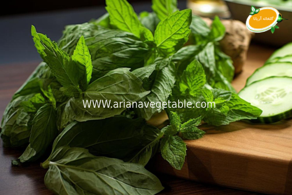 نحوه کاشت نعنا موهیتو گلدانی