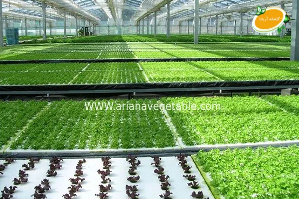 تکنیک‌های کنترل دما و رطوبت