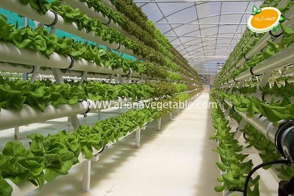 اصول پیشرفته در گلخانه