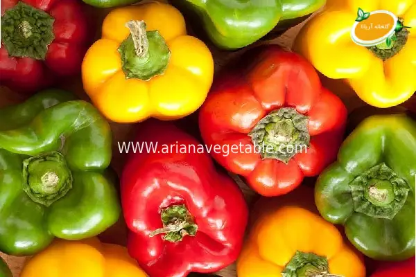 مزایای کاشت فلفل دلمه ای رنگی در گلخانه