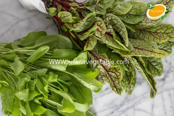 کاربردهای سورل در آشپزی