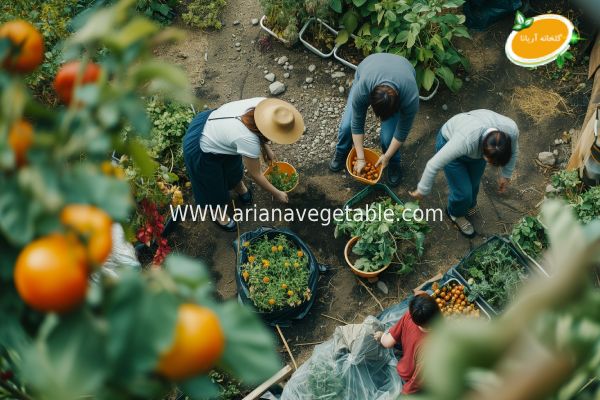 تفاوت محصولات ارگانیک و غیرارگانیک 3 کشاورزی ارگانیک