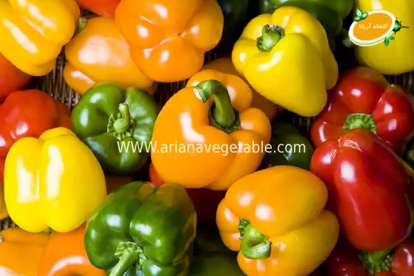 خواص فلفل دلمه ای رنگی