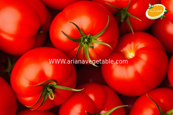 گوجه ‌فرنگی