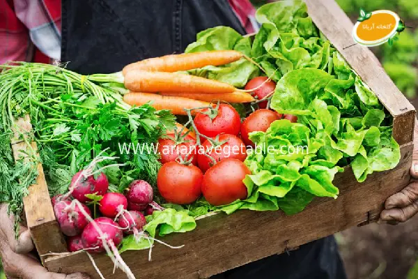 تفاوت محصولات ارگانیک و غیرارگانیک 1 تفاوت محصولات ارگانیک و غیرارگانیک