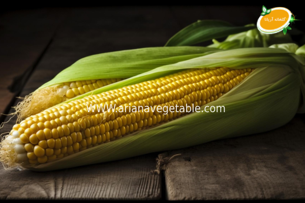 ذرت؛ سبزی مناسب برای رشد عضلات