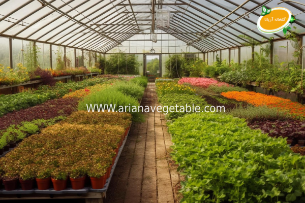 محصولات پرسود کشاورزی ایران