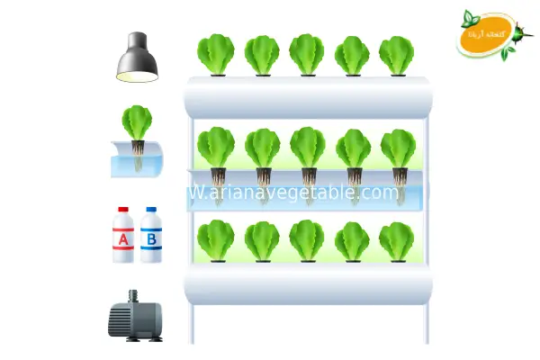 معایب کشت ایروپونیک