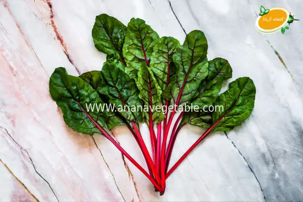 5 گیاه پرفروش گلخانهای برای بهار 1404 3 خرید سوئیس چارد