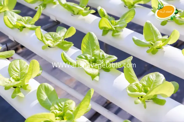 انواع سیستم‌های کشت ایروپونیک