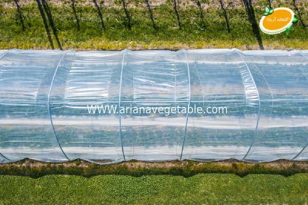 مزایای دوپوش کردن گلخانه