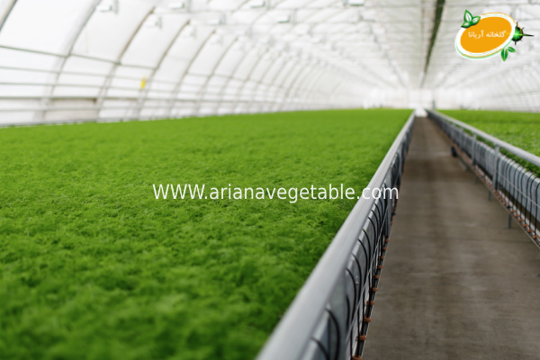 شرایط اقلیمی و تأثیر آن بر هزینه گلخانه