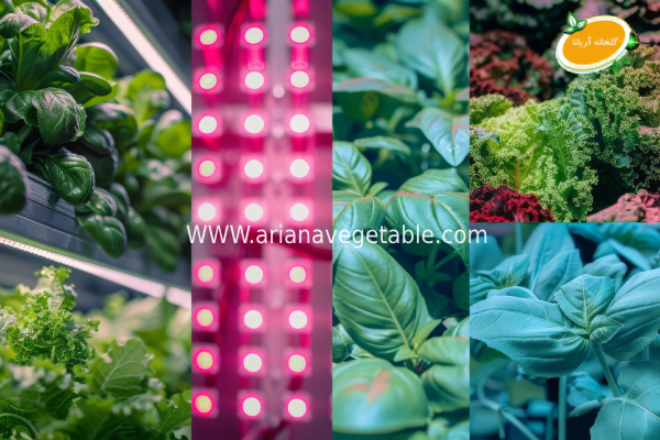 برآورد هزینه ساخت گلخانه