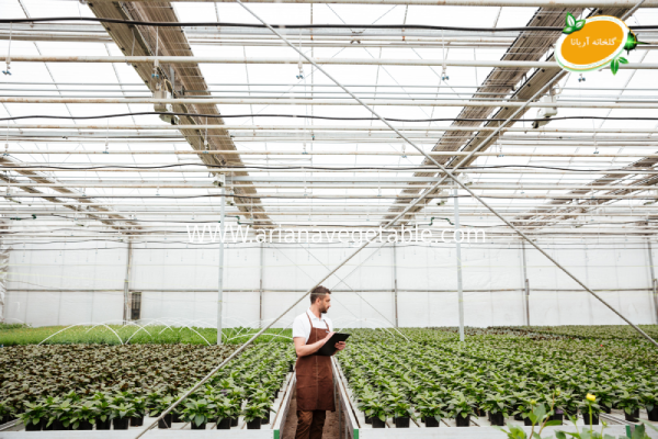 نیروی انسانی و هزینه‌های کارگری در گلخانه