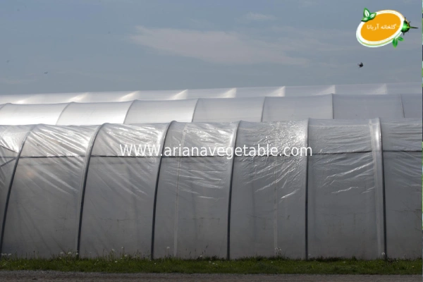 چرا باید گلخانه را دوپوش کنیم؟