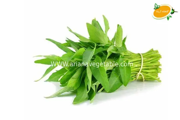 دلیل خرید بیبی اسفناج در کرج