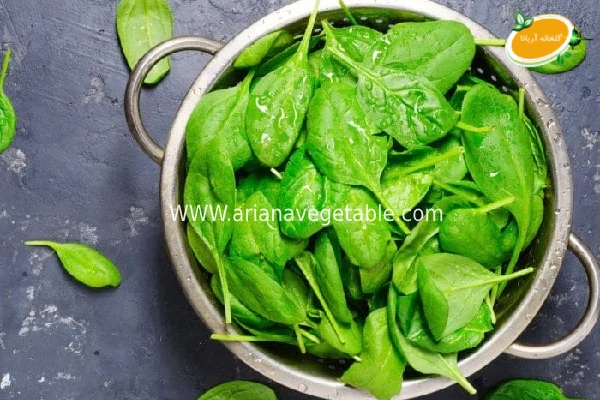 مزایای خرید بیبی اسفناج در کرج