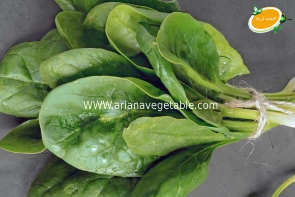 چرا در کرج بیبی اسفناج بخریم؟