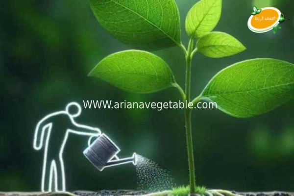 کاربرد کود شیمیایی