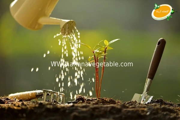 استفاده از کود شیمیایی