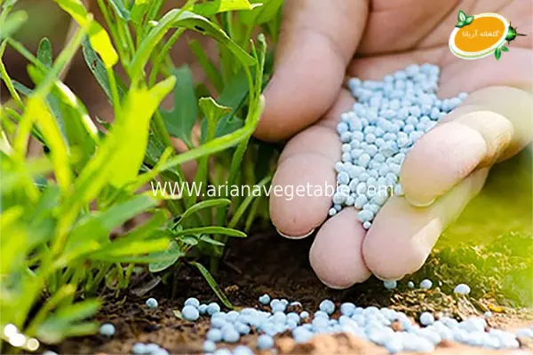 کود شیمیایی