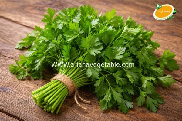 خواص ضد باکتریایی جعفری