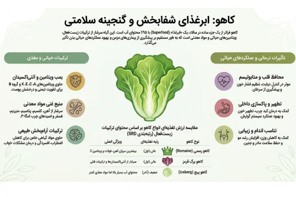 فواید انواع مختلف کاهو 