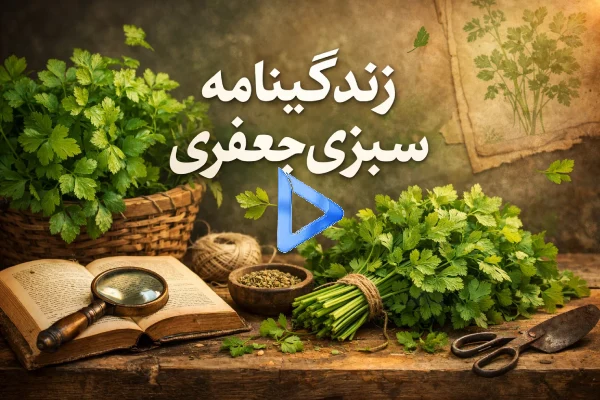 زندگینامه سبزی جعفری