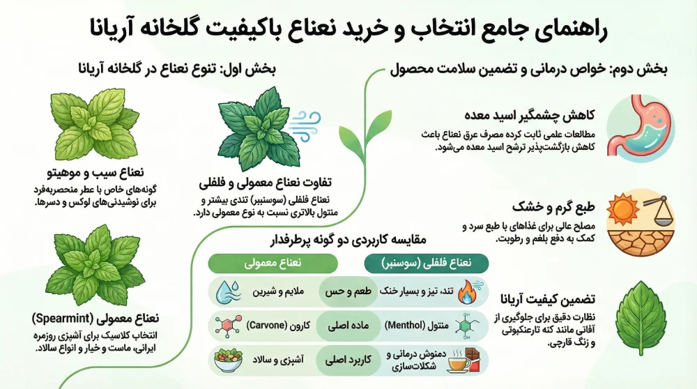 انتخاب و خرید نعناع