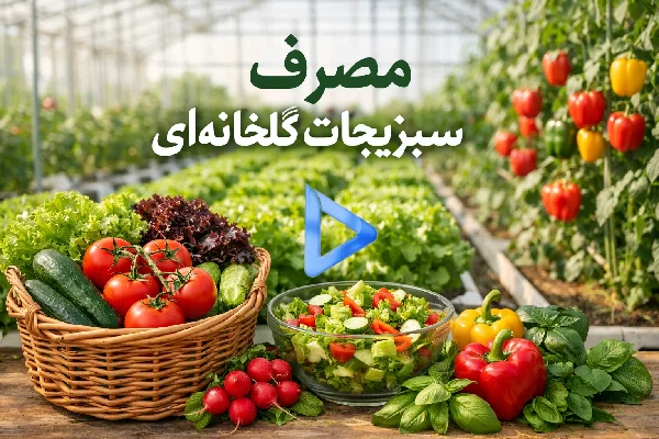 مصرف سبزیجات گلخانه ای
