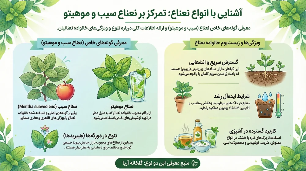 آشنایی با انواع نعناع