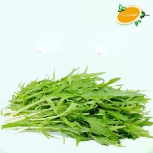 خردل ژاپنی سبز